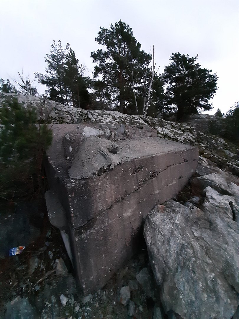 Ståvärn Solvalla skogen, Bromma - februari 2020 betong