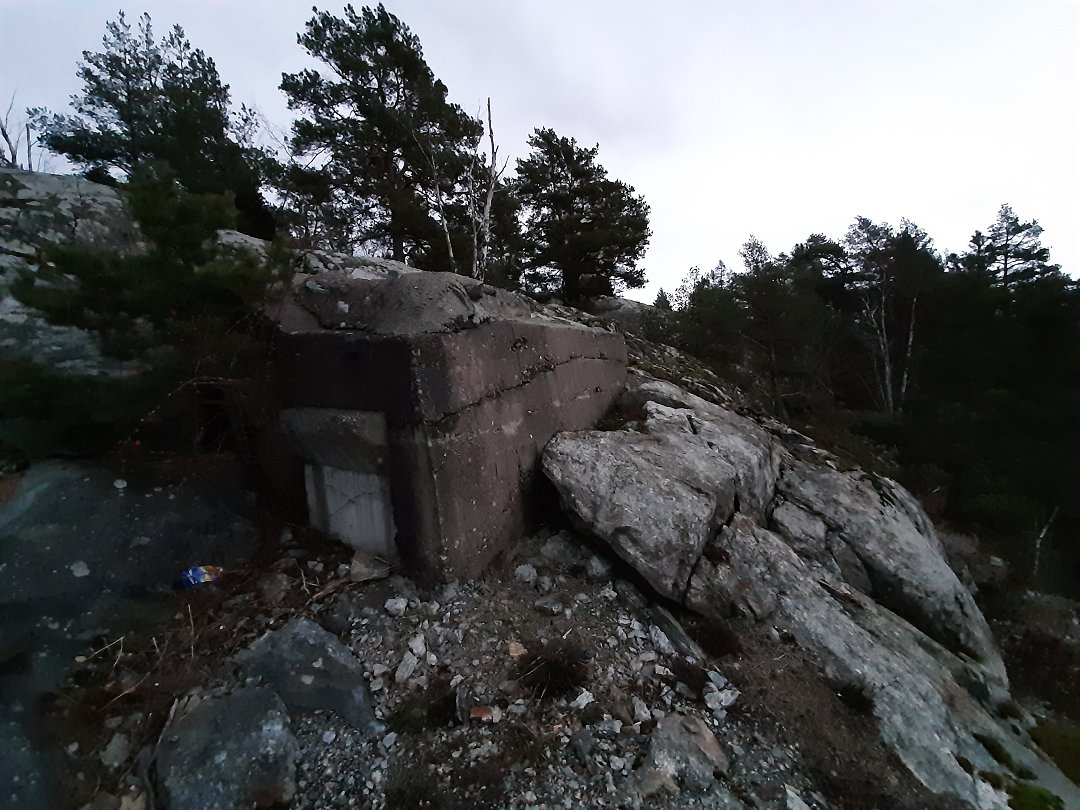 Ståvärn Solvalla skogen, Bromma - februari 2020 klippa