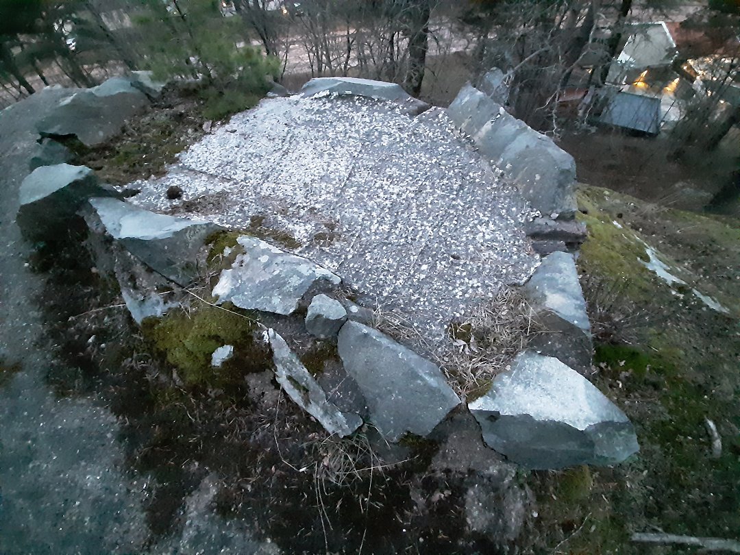 Ståvärn Solvalla skogen, Bromma - februari 2020 skoldpadda