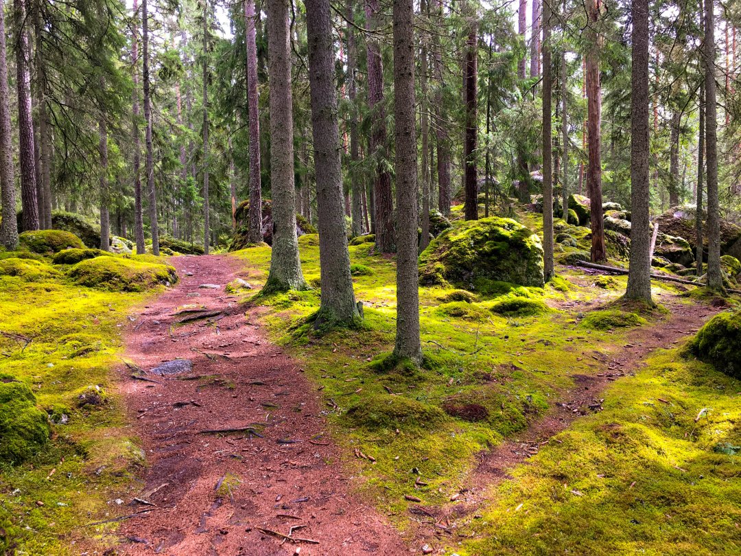 Jättebergen, Degerfors - juli 2021