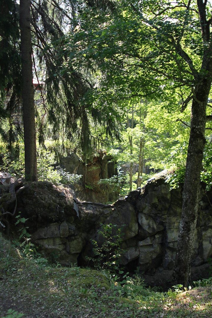 Kalkgruvhagen Garpenberg - juli 2018 skogen