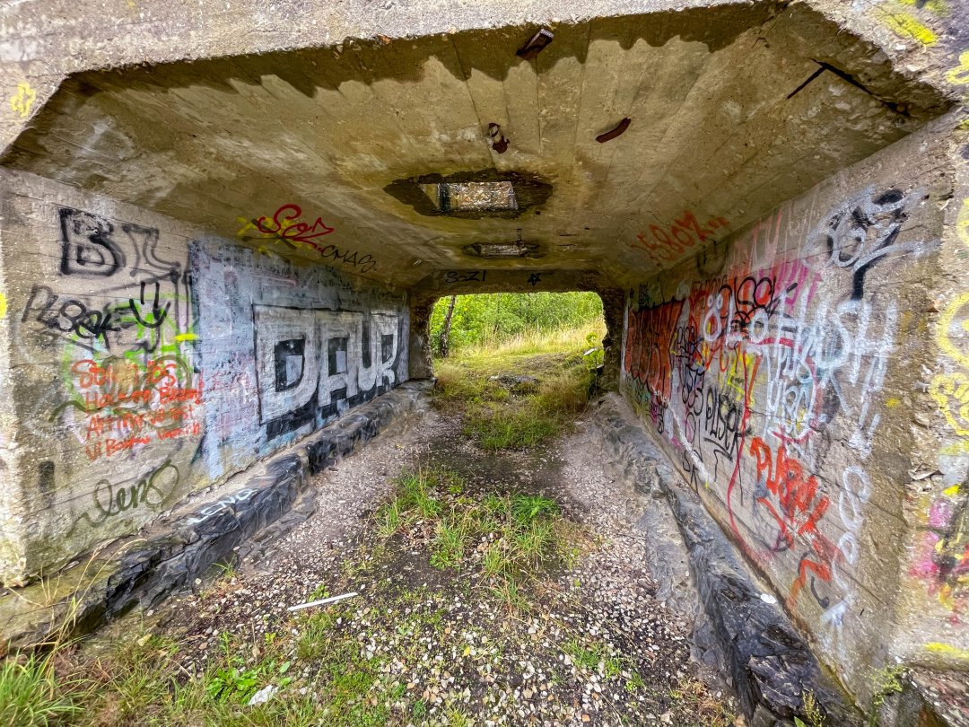 Tobisborg stenbrott, Skåne - juli 2024