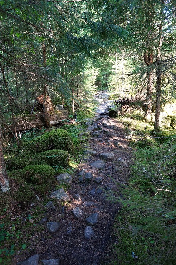 Norra Kvills nationalpark - juli 2012 Dsc00839
