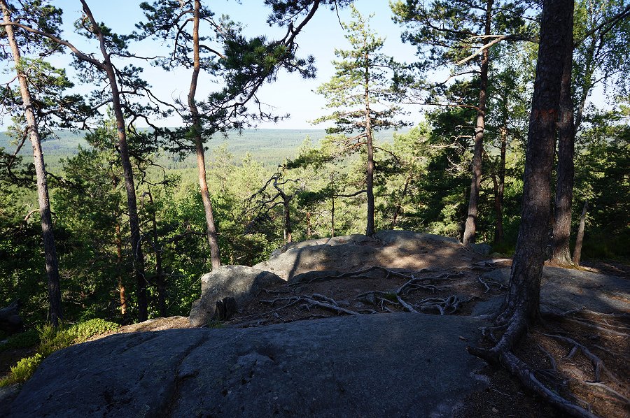 Norra Kvills nationalpark - juli 2012 Dsc00863
