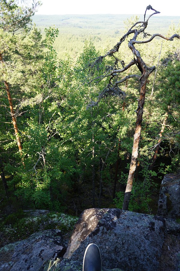 Norra Kvills nationalpark - juli 2012 Dsc00864