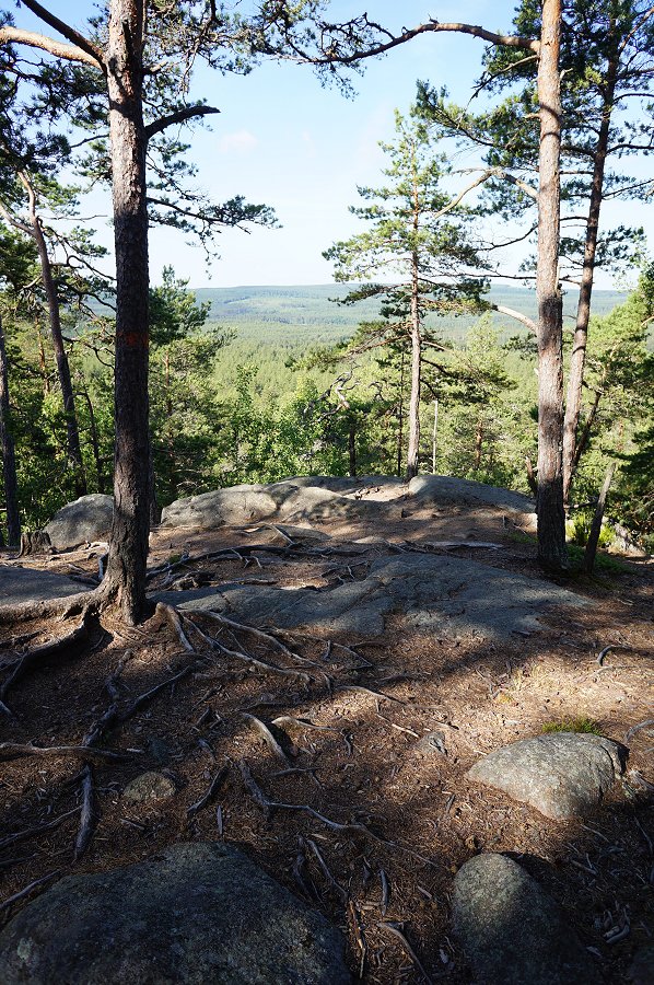 Norra Kvills nationalpark - juli 2012 Dsc00867