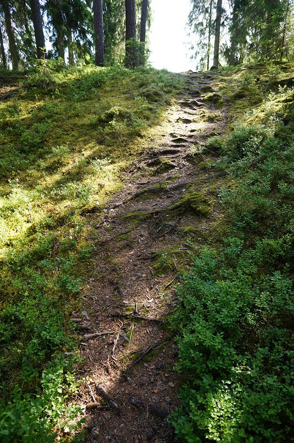 Norra Kvills nationalpark - juli 2012 Dsc00883