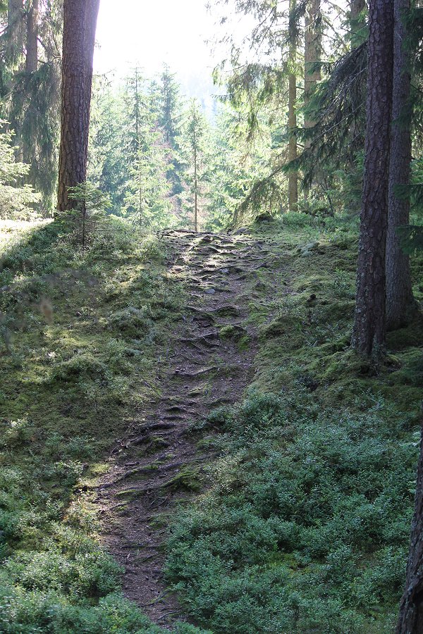 Norra Kvills nationalpark - juli 2012 Img 9750