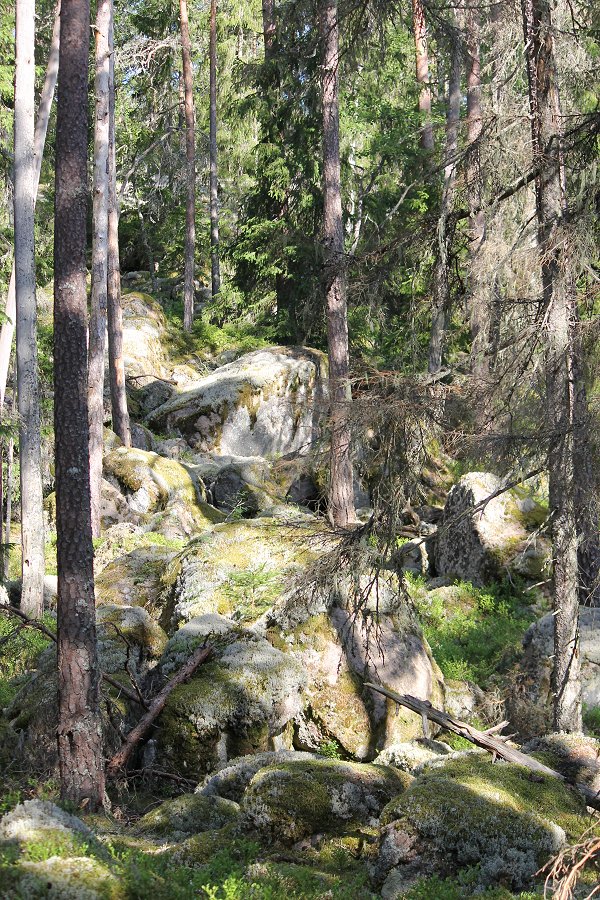 Norra Kvills nationalpark - juli 2012 Img 9775