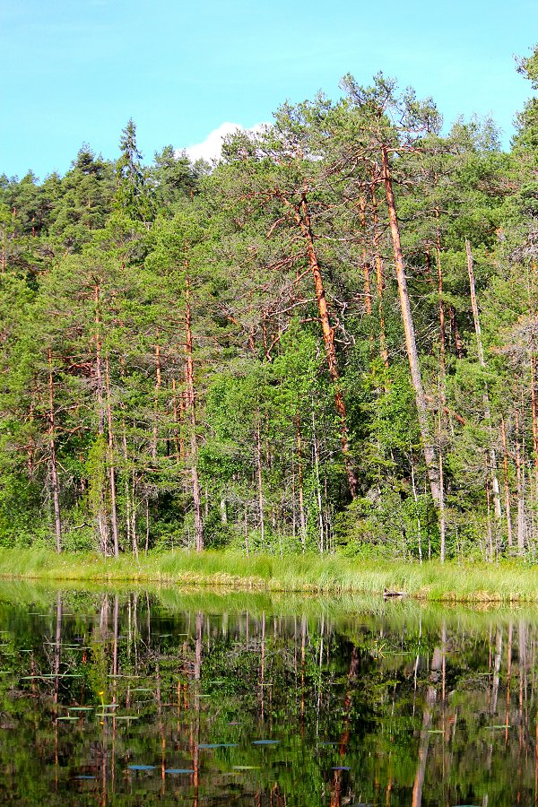 Norra Kvills nationalpark - juli 2012 Img 9778