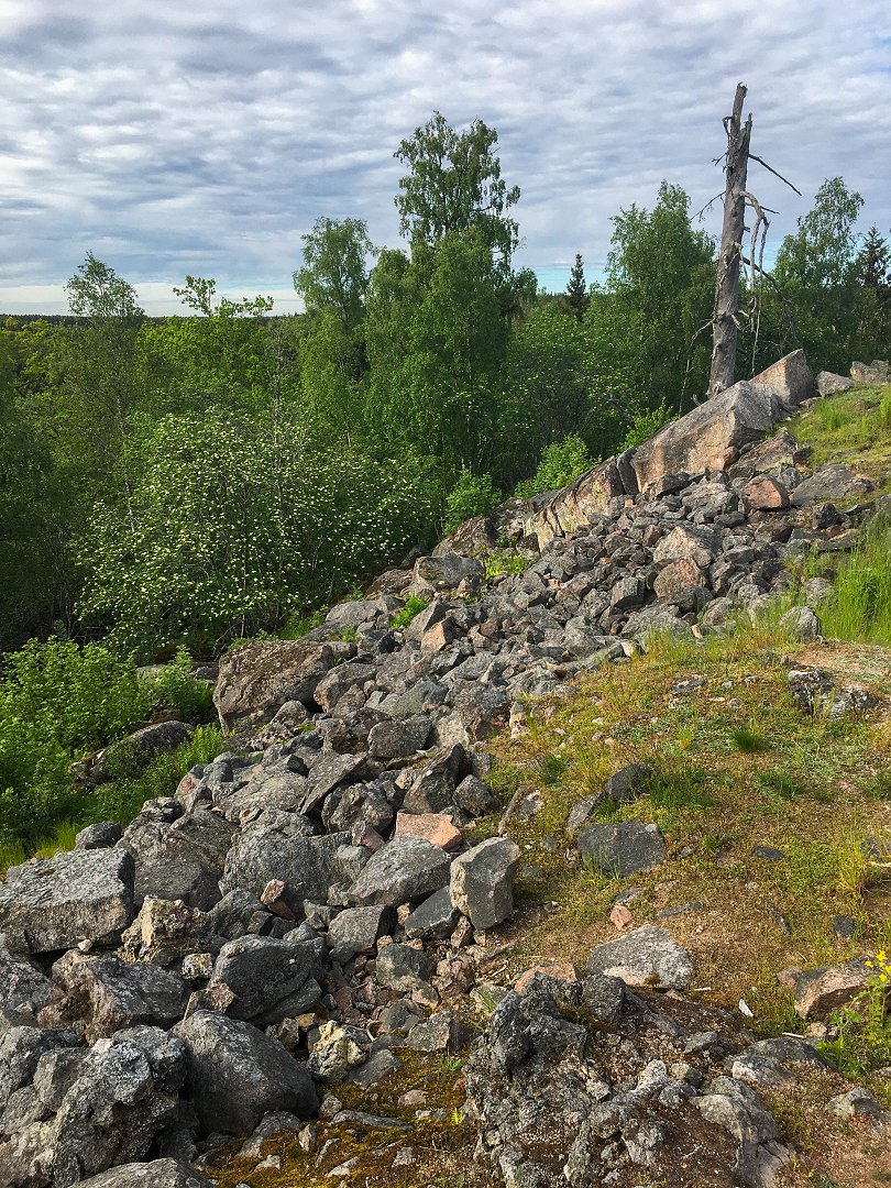 Broborg Fornborg Knivsta - maj 2021 stenar