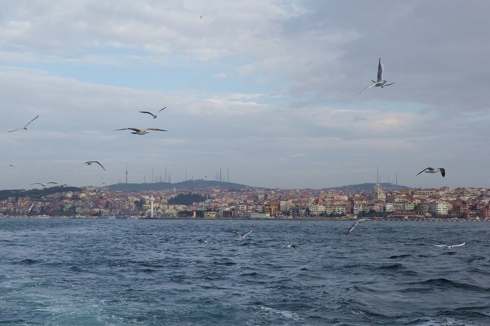 Bosporen Istanbul - mars 2013 bosporen seagulls
