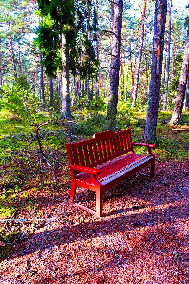 Granåsens naturreservat - oktober 2017 rod soffa i skogen