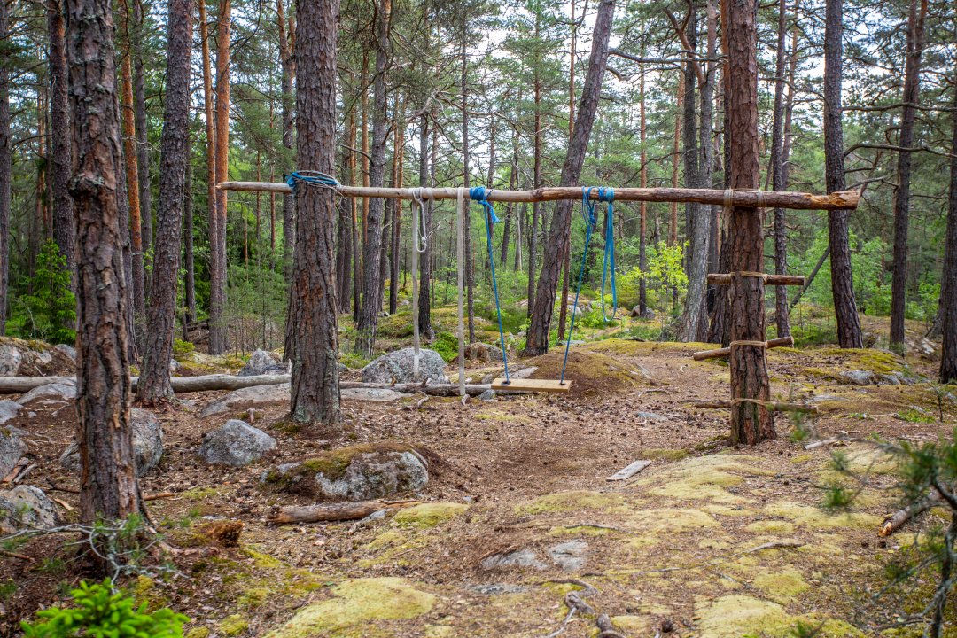 Grimsta naturreservat, Stockholm - juni 2020 gunga