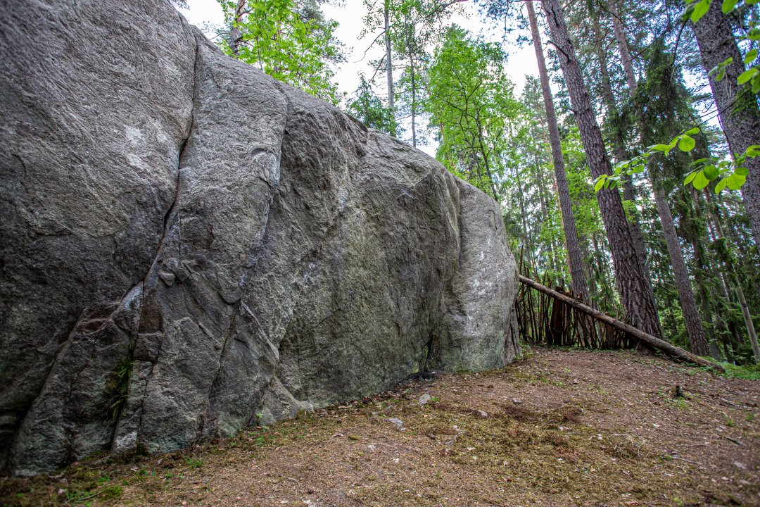 Grimsta naturreservat, Stockholm - juni 2020 klippa koja