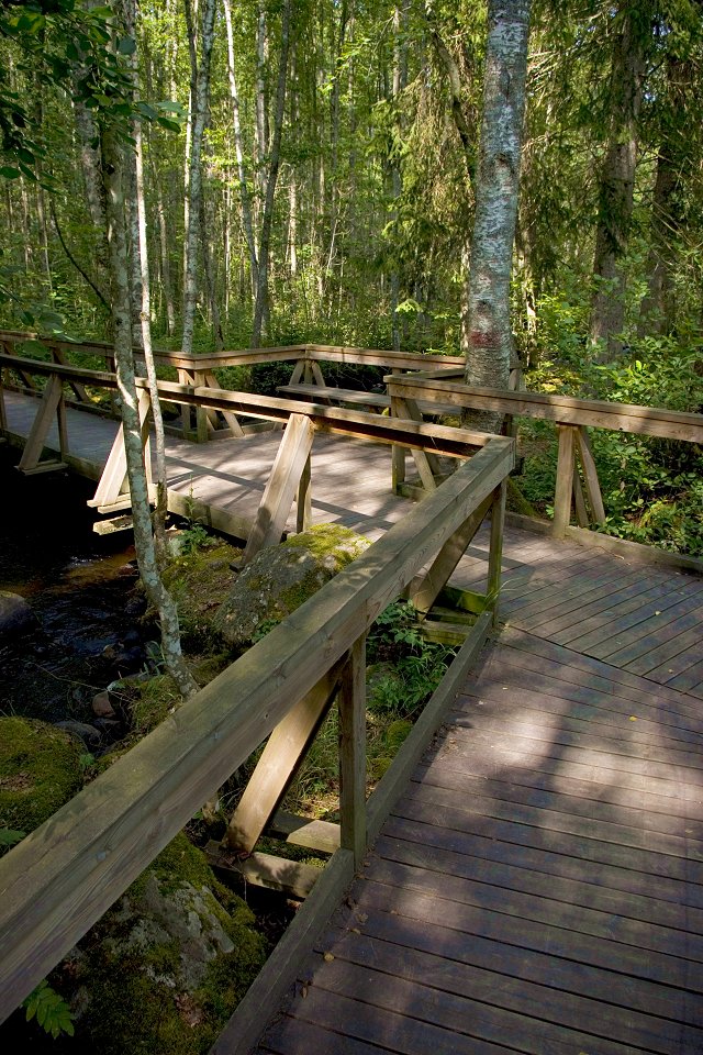 Illhargens naturreservat - juli 2010 gang bro