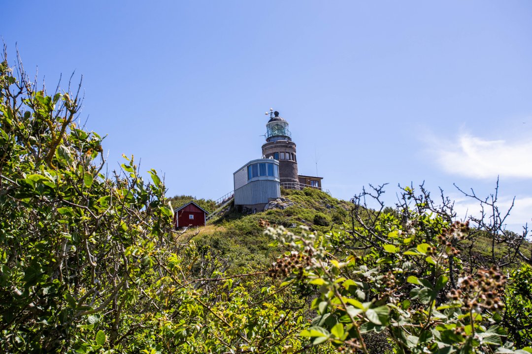 Kullaberg naturreservat, Skåne - juli 2020 the lighthouse