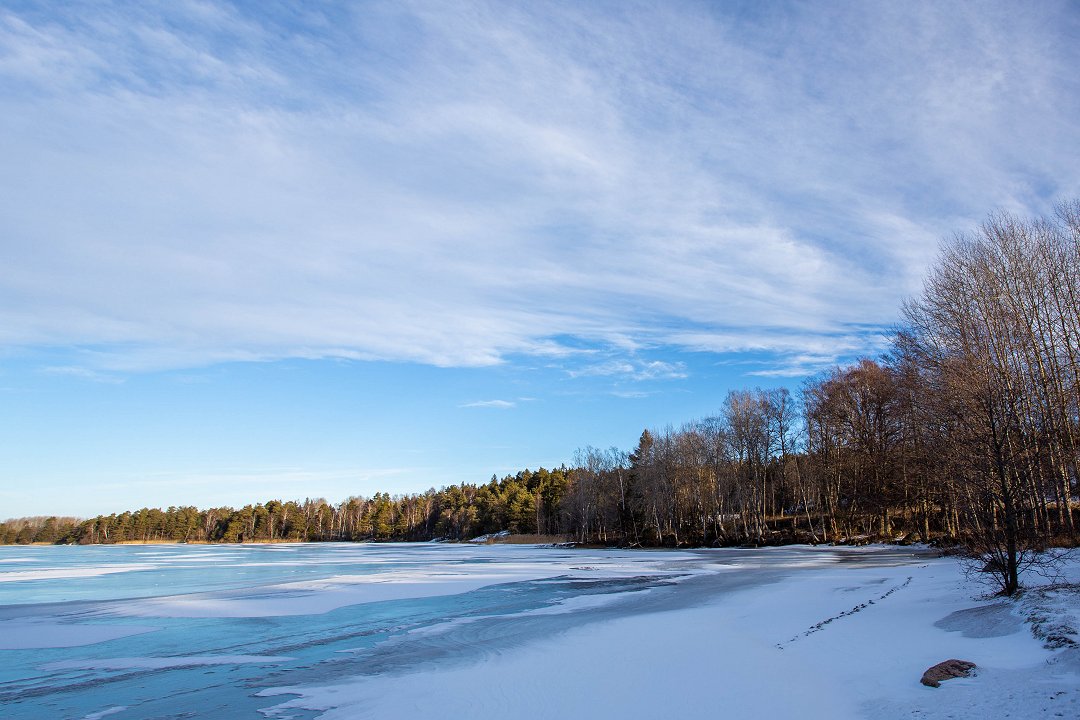 Lejondals naturreservat Bro - januari 2019 is och himmel