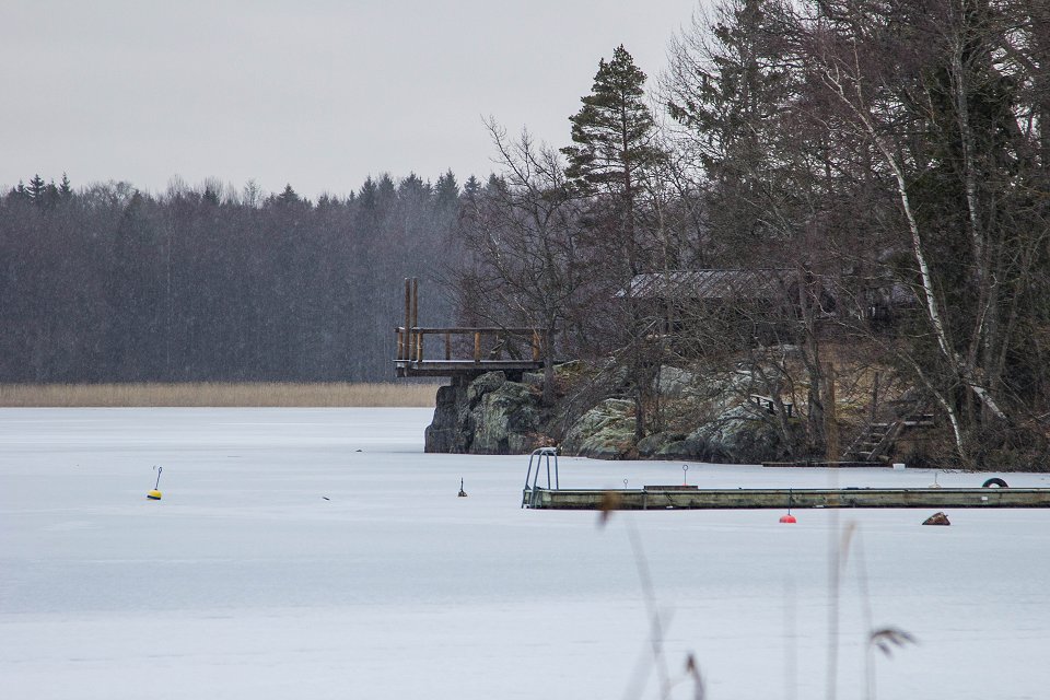Norra Malma naturreservat - mars 2017 erken sjon
