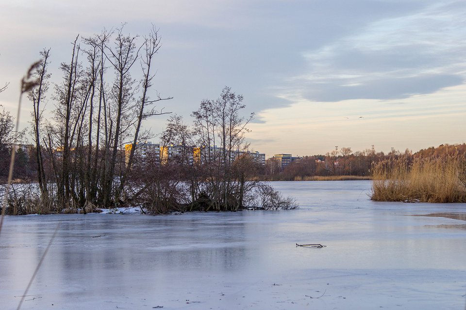 Råstasjön Solna - Januari 2017 or i fjarran
