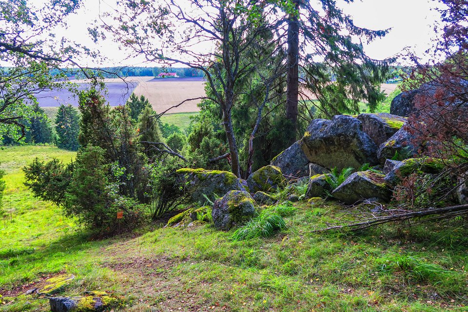 Skattmansöådalens naturreservat - augusti 2017 utsikt mot backen