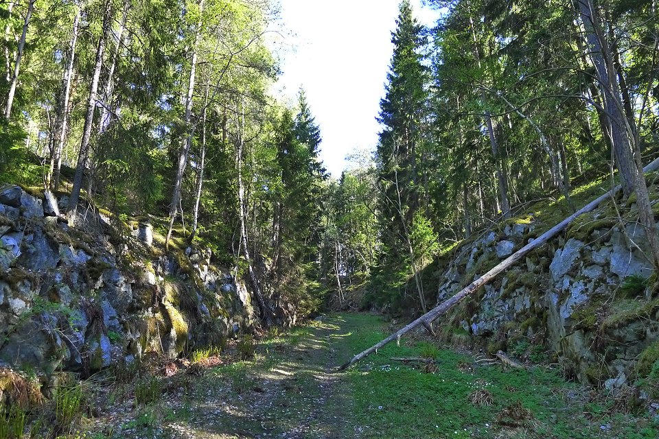 Stäketskogens naturreservat - maj 2011 gammal ranna staeket