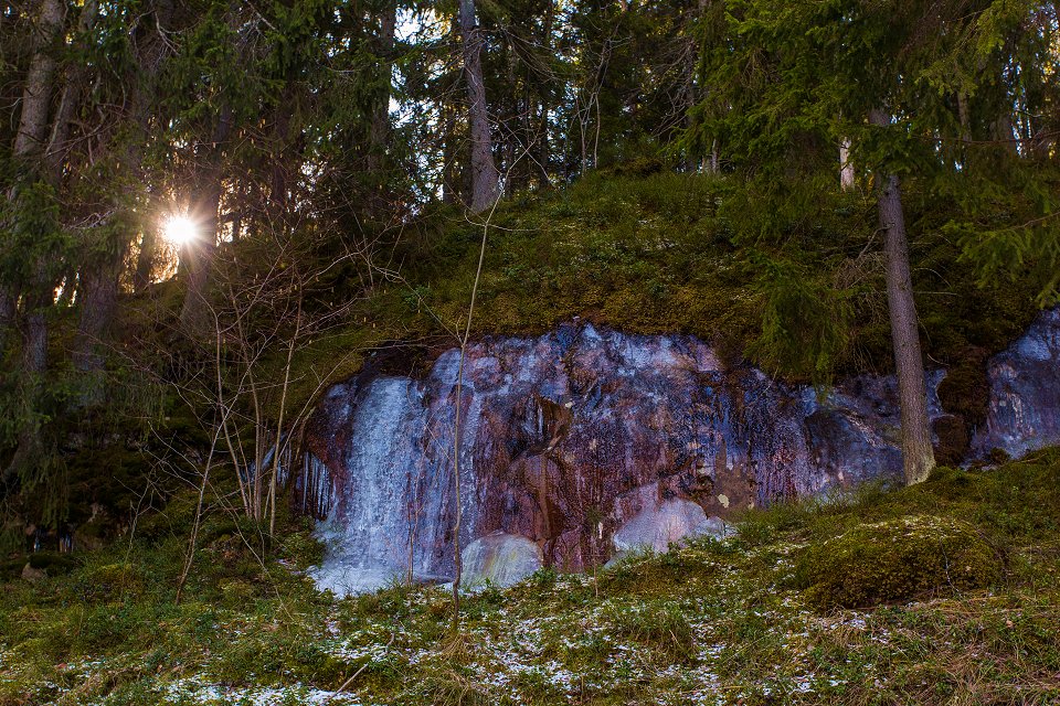 Törnskogens naturreservat - mars 2017 skog klippa sol