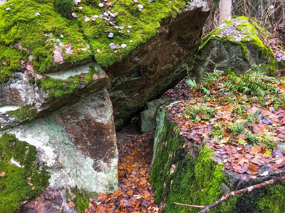 Tegelhagsskogens naturreservat, Silverdal - november 2020 grotta