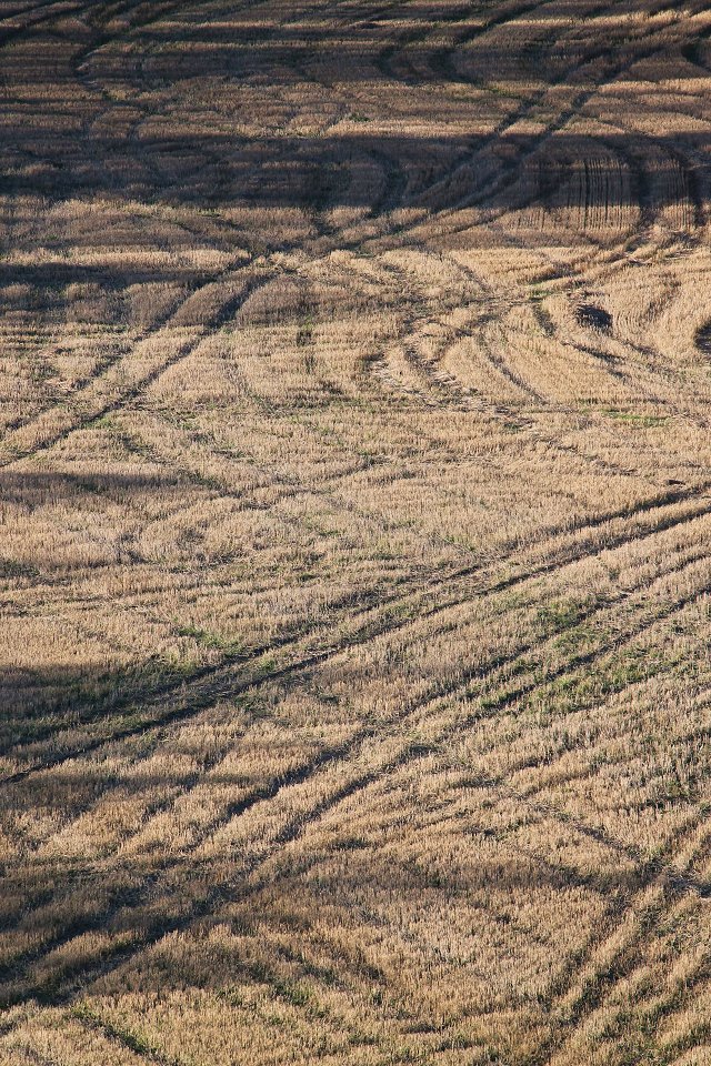 Trosa - oktober 2012 odlingsmark