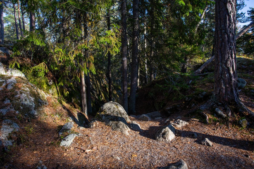 Tyresta nationalpark - oktober 2018 stenar