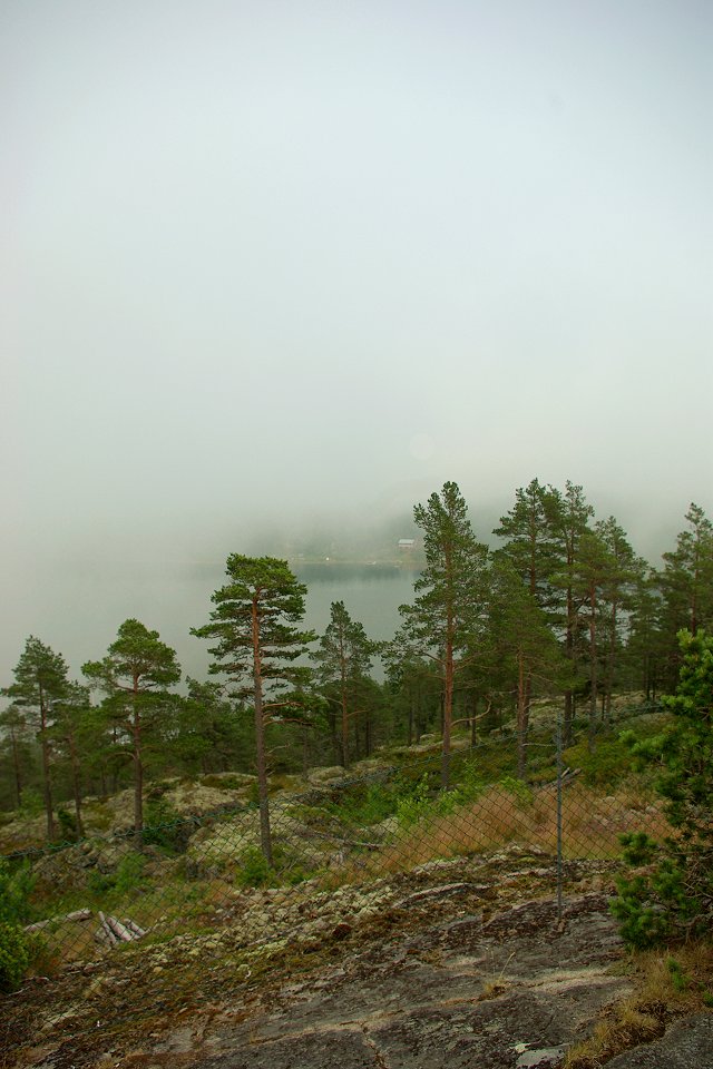 Ulvön - juli 2009 dimma over trad och hav