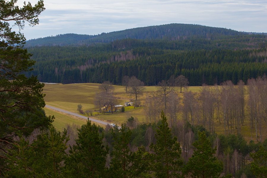 Vassviksbergets naturreservat- mars 2015 IMG 5641