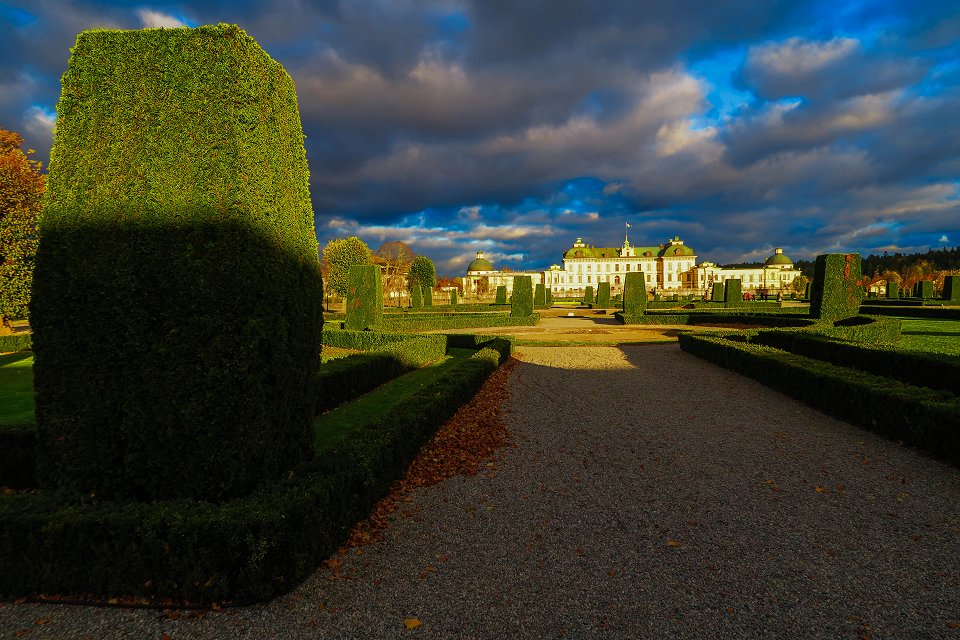 Drottningholms slott - november 2017 klippta buskar drottningholm