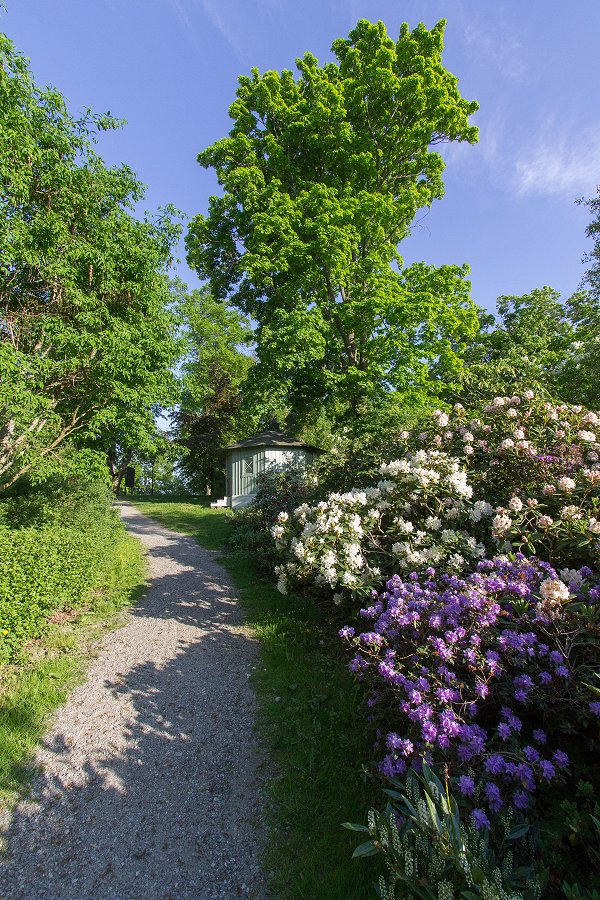 Görvälns slott - maj 2016 blommor