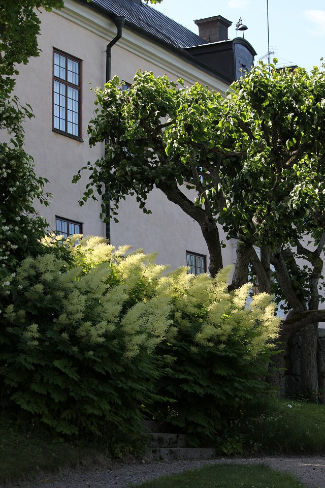 Grönsö slott - juni 2013