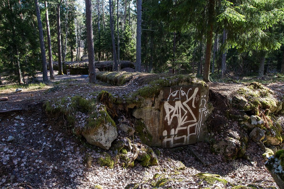 Gullsjöfortet - mars 2017 graffiti pa dorren