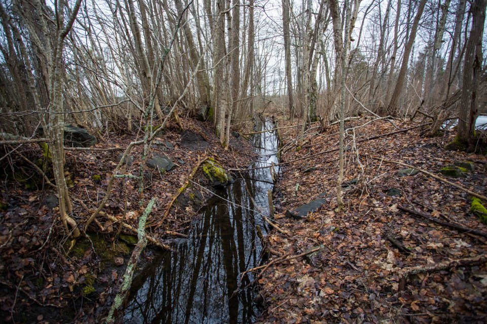 Eknäsgruvan Herräng - mars 2017 tre brunt vinter vatten