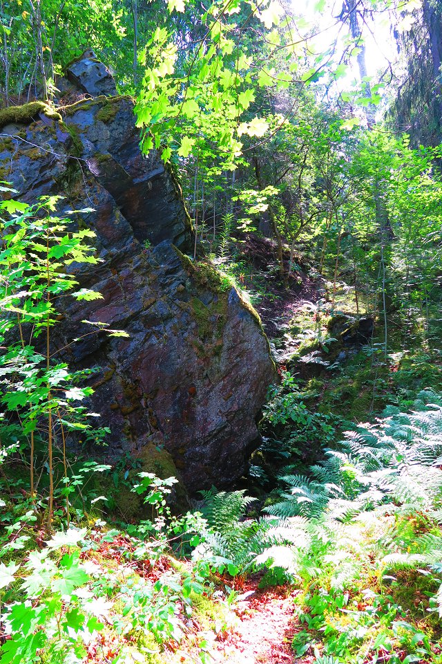 Konungastollen Nora - juli 2017 klippor och skog