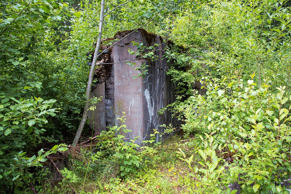 Rällingsbergs gruva - juli 2017 gammal gruv ruin i skogen