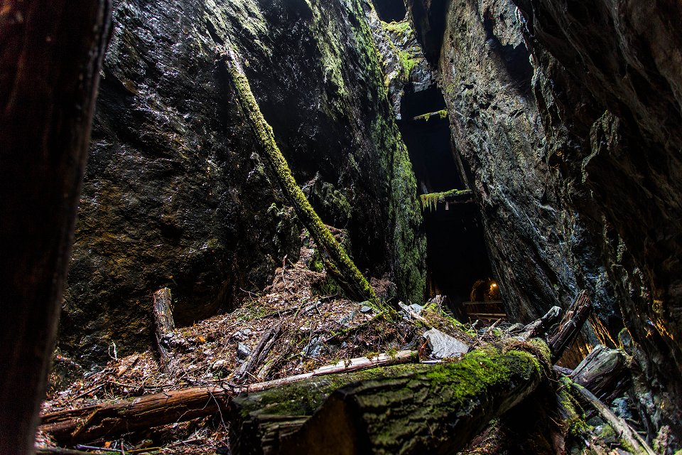 Storbergets gruva Hofors - juli 2017 mossiga stockar