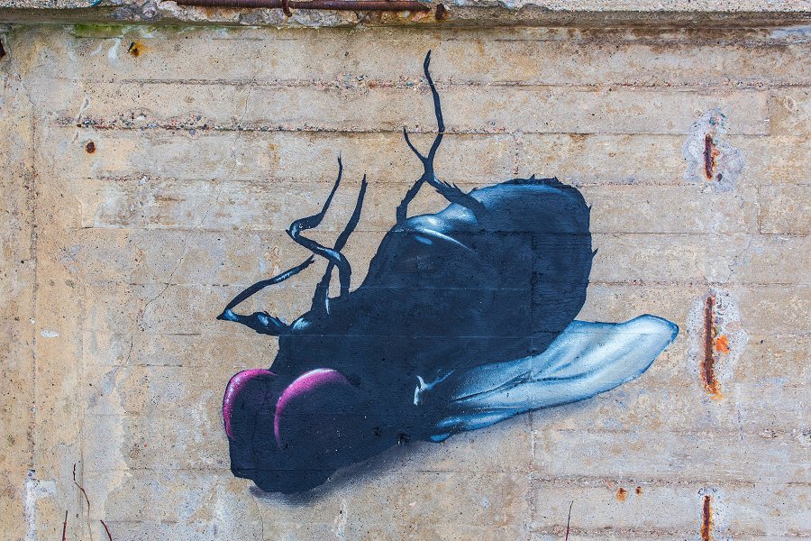 Wargöns pappersbruk - februari 2016 graffiti fluga