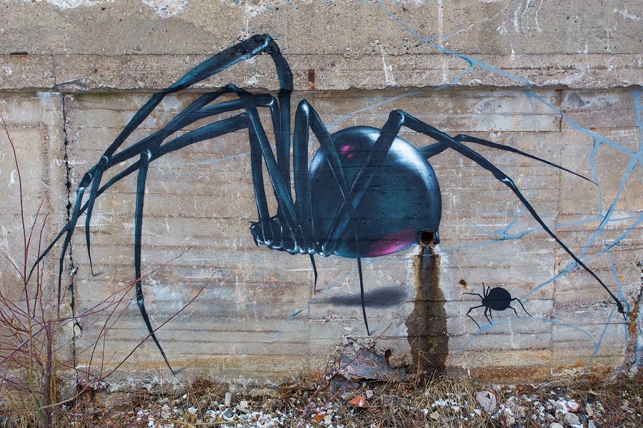 Wargöns pappersbruk - februari 2016 graffiti spindel