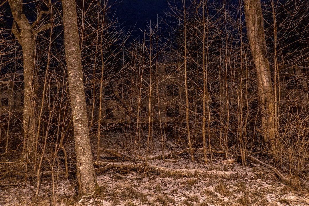 Gamla lasarettet Norberg – december 2018 snarig skog